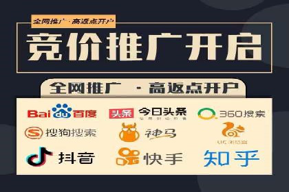 SEM代运营经典案例解析与启示
